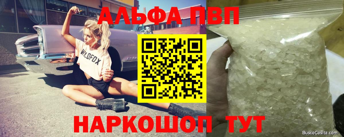 A PVP СК Новоалександровск