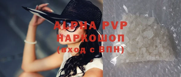 сатива Ачинск