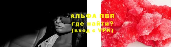 индика Артём