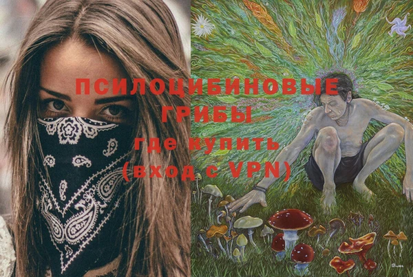 гидропоника Мегион