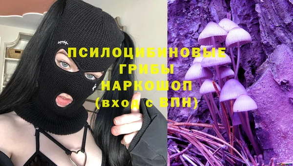 ГАЛЛЮЦИНОГЕННЫЕ ГРИБЫ Михайловск