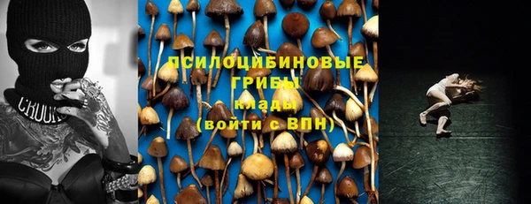 mdma Медногорск