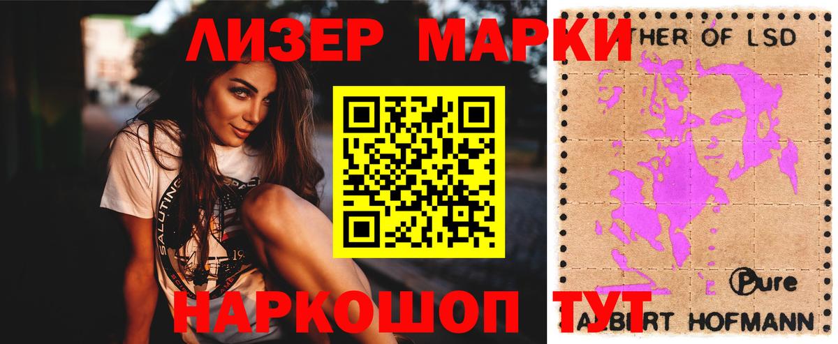 Галлюциногенные грибы Новоалександровск