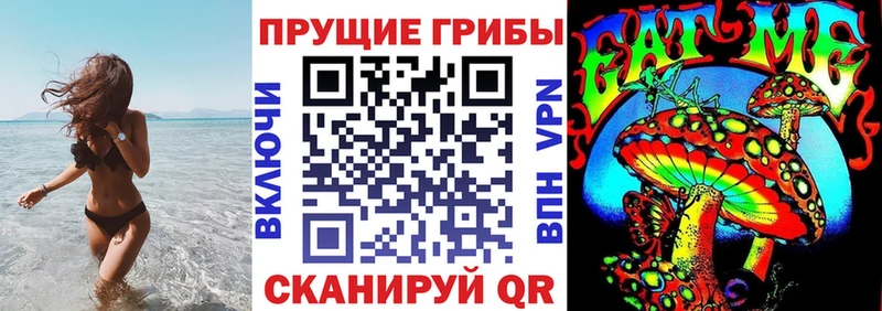 Псилоцибиновые грибы GOLDEN TEACHER  Новоалександровск 